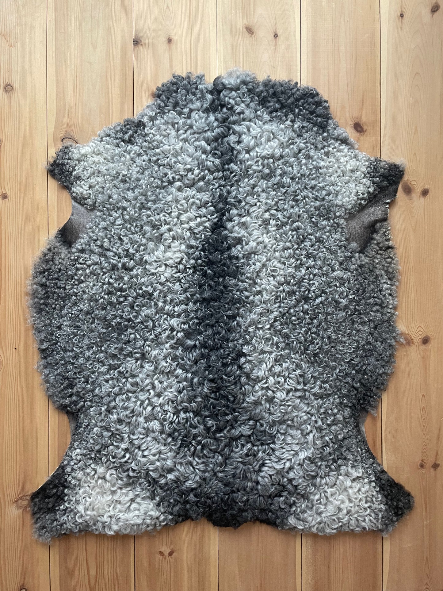 Skinn Gotland 104